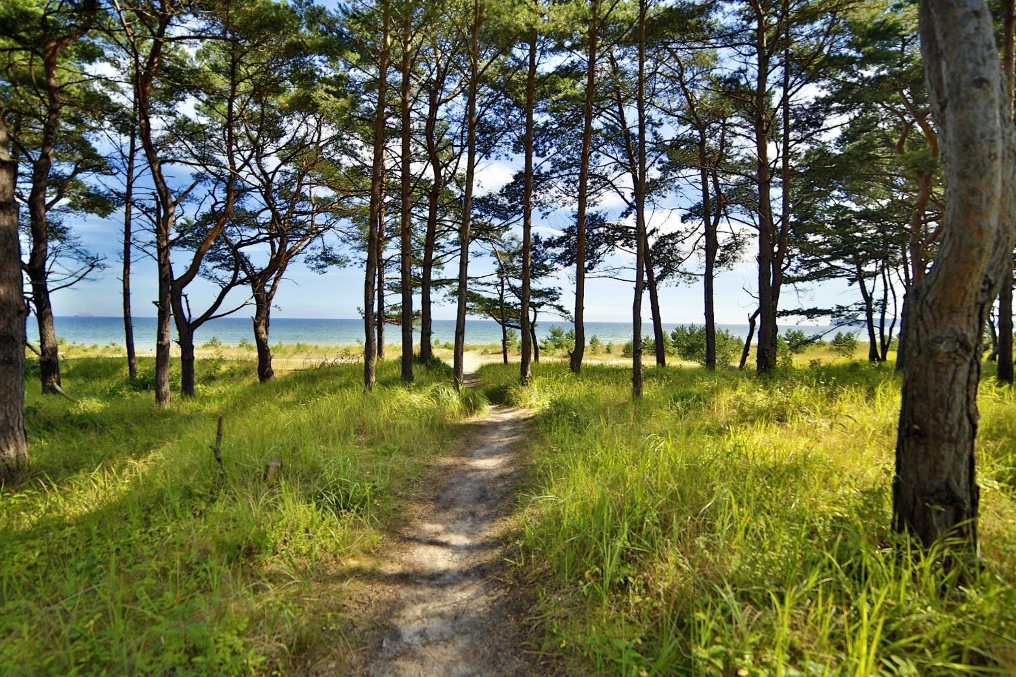 Meerloft 13 Im Haus Duene 7 Prora Ostseebad Binz
